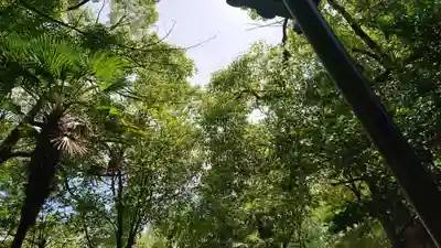 若宮神明社のその他建物