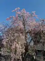 久遠寺(山梨県)