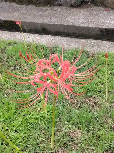横浜　西方寺(神奈川県)