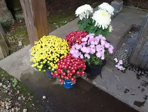 大田原神社(栃木県)