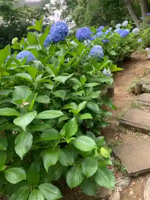 等覚院(神奈川県)