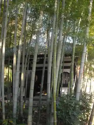長谷寺のその他建物