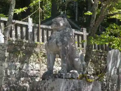 戸隠神社中社の狛犬