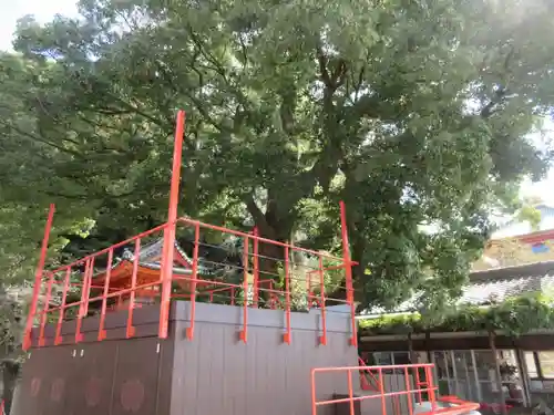 金剛宝寺（紀三井寺）(和歌山県)