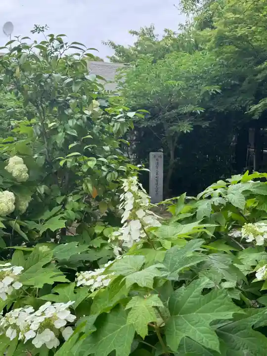 妙行寺の{uncategorized: "未分類", other: "その他", undefined: "問題あり", building: "その他建物", grave: "お墓", sacred_gate: "鳥居", guardian: "狛犬", statue: "像", buddha: "仏像", history: "歴史", nature: "自然", garden: "庭園", animal: "動物", pagoda: "塔", temizu: "手水舎", mountain_gate: "山門・神門", sanctuary: "本殿・本堂", subordinate: "末社・摂社", art: "芸術", scenery: "景色", jizo: "地蔵", ema: "絵馬", goshuin: "御朱印", omikuji: "おみくじ", items: "授与品その他", amulet: "お守り", goshuincho: "御朱印帳", eats: "食事", festival: "お祭り", votive_dance: "神楽", shichigosan: "七五三参", wedding: "結婚式", experience: "体験その他", initially: "初詣", around: "周辺", anti_infection: "感染症対策"}