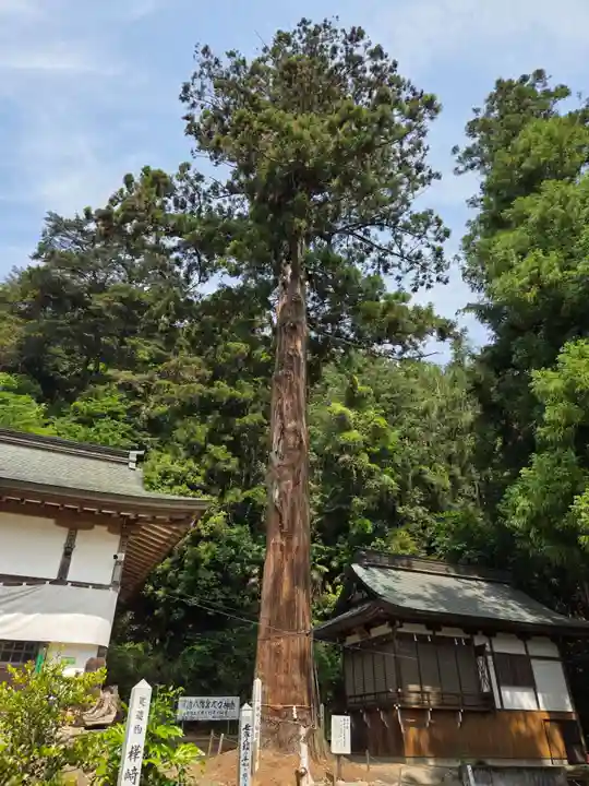 樺崎八幡宮(栃木県)