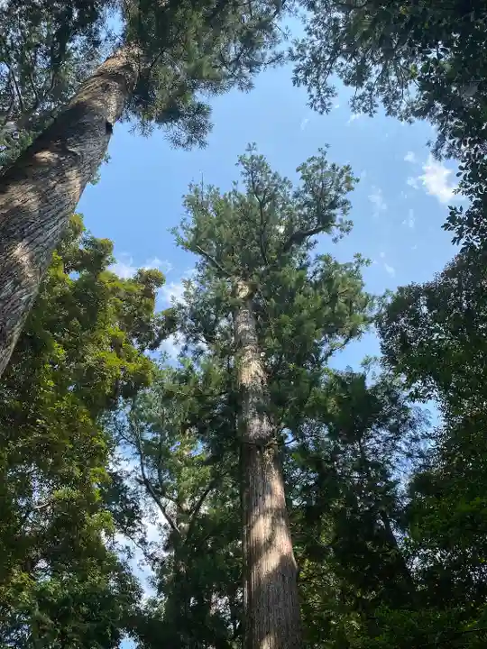 瀧原宮(皇大神宮別宮)の自然