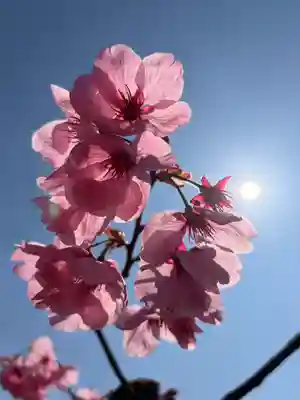 鹿嶋三嶋神社(茨城県)