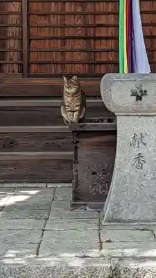 本満寺(本願満足寺)(京都府)