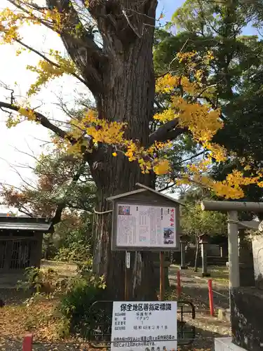 大宮神社のその他建物