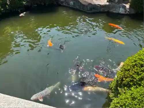 豊川閣　妙厳寺(愛知県)