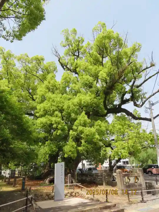 諫早神社(九州総守護 四面宮)(長崎県)