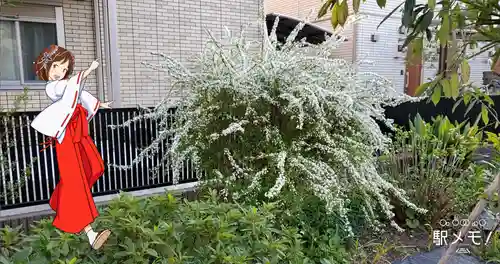 川端稲荷神社の自然
