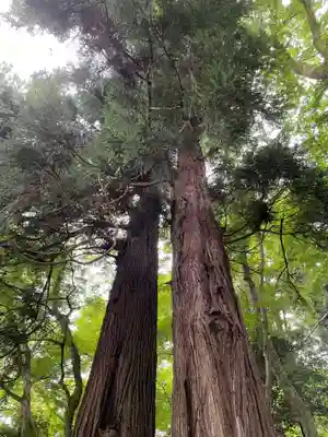 長谷寺(奈良県)