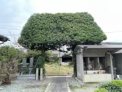 常福寺(三重県)