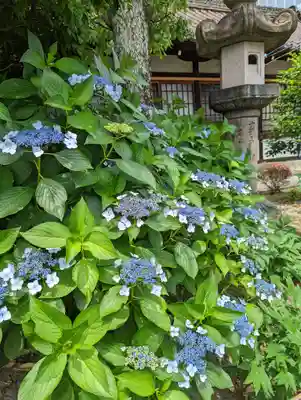 六孫王神社(京都府)