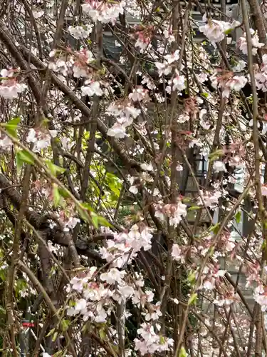 阿弥陀寺のその他建物