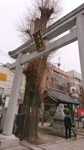 柏神社の鳥居