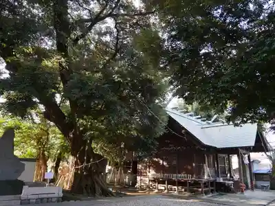 音無神社の本殿・本堂