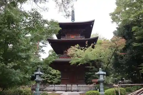 豪徳寺(東京都)