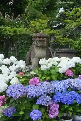 白山神社(東京都)