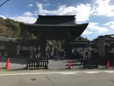 京都乃木神社(京都府)