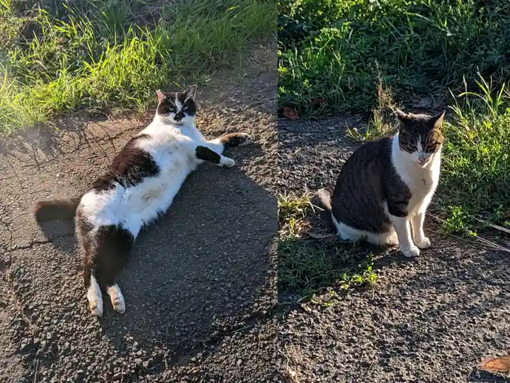 厳島神社(片葉の弁天)(千葉県)