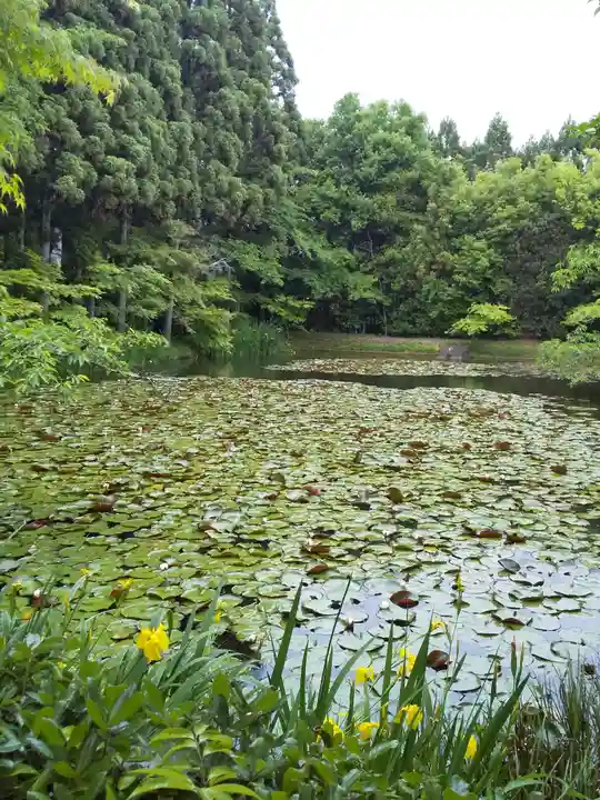 酬恩庵一休寺(京都府)