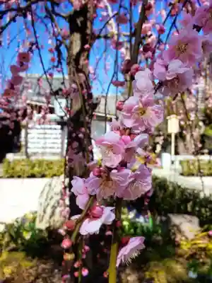 常性寺(東京都)