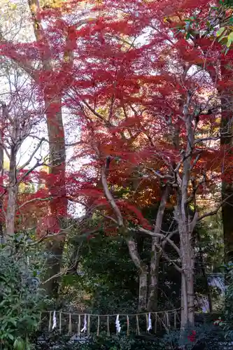 賀茂御祖神社（下鴨神社）(京都府)