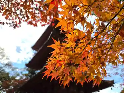 太山寺(兵庫県)