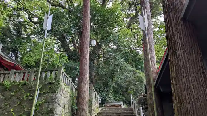 八幡朝見神社の自然