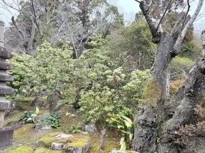 真龍寺(大阪府)