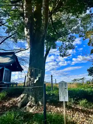 白子神社(千葉県)