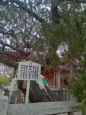 高砂神社(兵庫県)