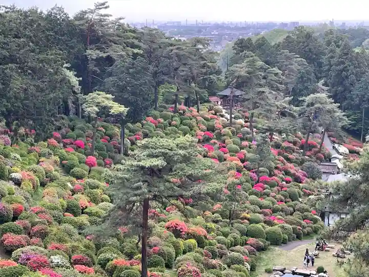 塩船観音寺(東京都)