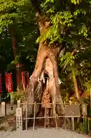 秩父今宮神社(埼玉県)