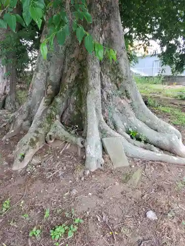日枝神社(栃木県)