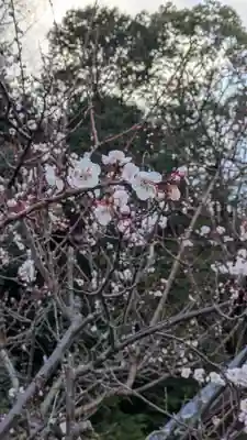 最乗院(滋賀県)