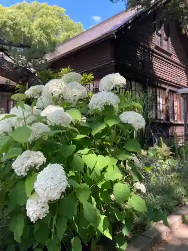 新琴似神社の自然