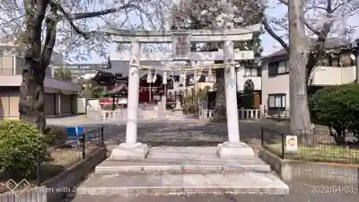 関根神社の鳥居