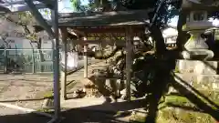 天鷹神社の手水