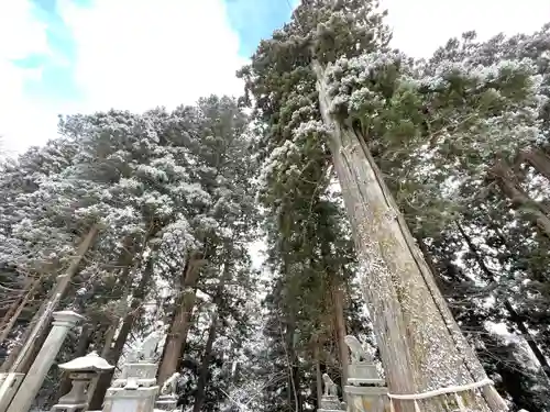 戸隠神社中社(長野県)