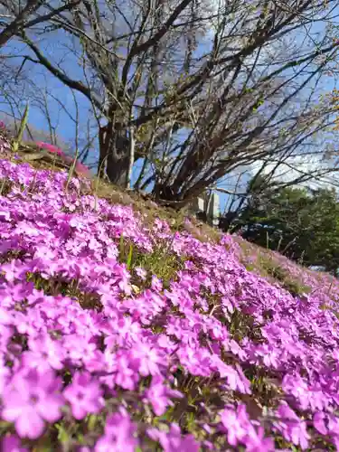 厚別神社の自然