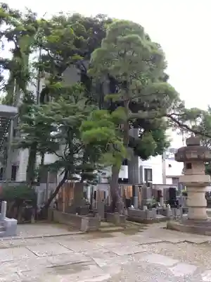 髙福院(東京都)