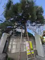 香念寺(東京都)