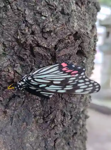 下高井戸八幡神社(東京都)