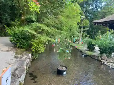 賀茂別雷神社（上賀茂神社）(京都府)