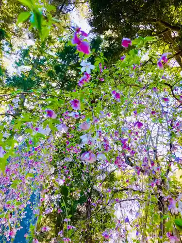 愛宕神社(茨城県)