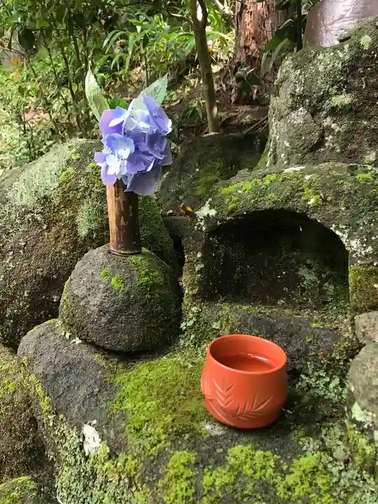 杉本寺(神奈川県)